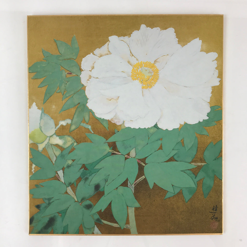 Japanese Art Board Vtg Shikishi Paper Printed Picture Peony Flower A441