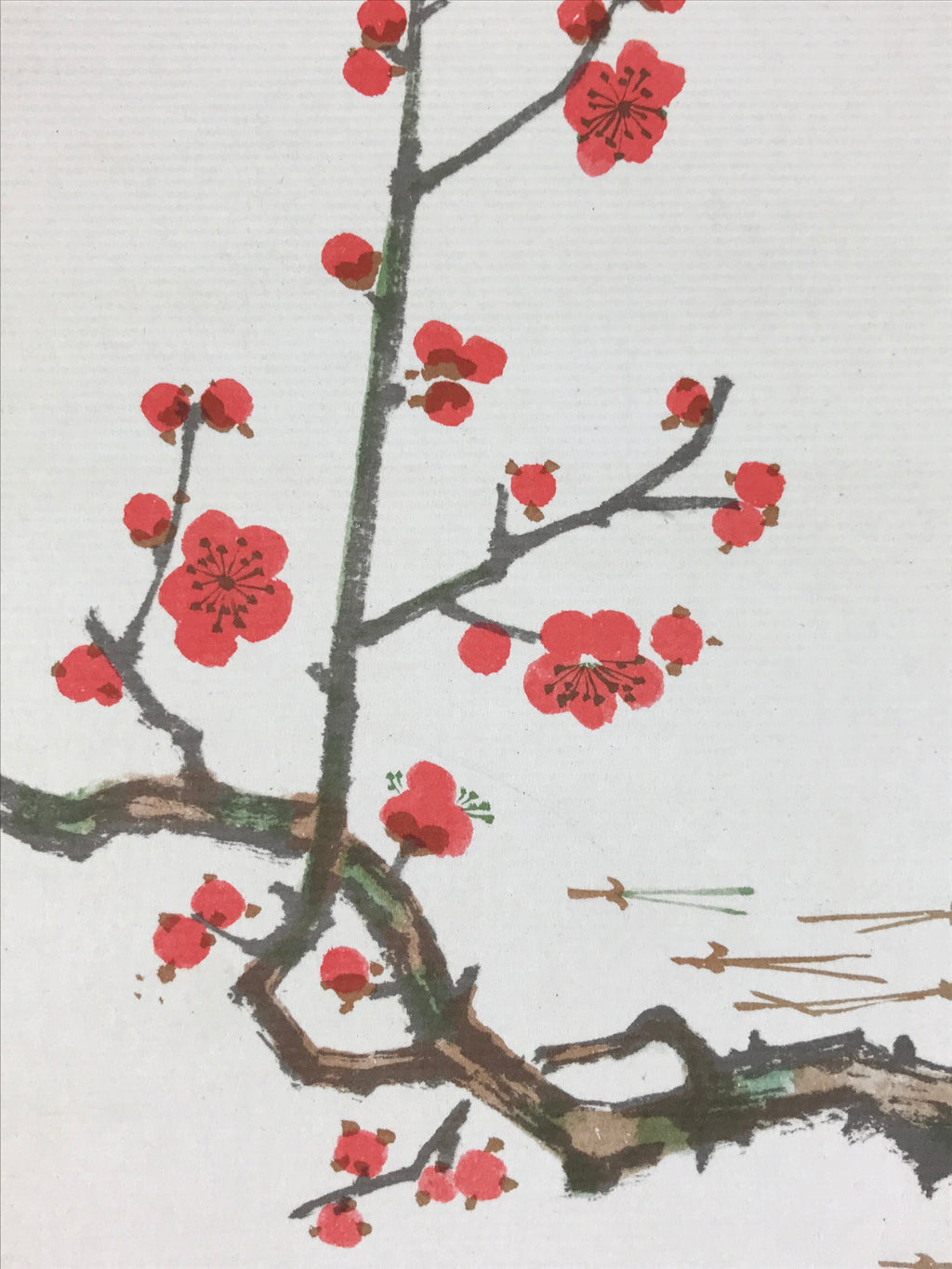 Japanese Art Board Vtg Shikishi Paper Printed Picture Plum Blossom A469