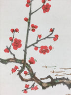 Japanese Art Board Vtg Shikishi Paper Printed Picture Plum Blossom A469