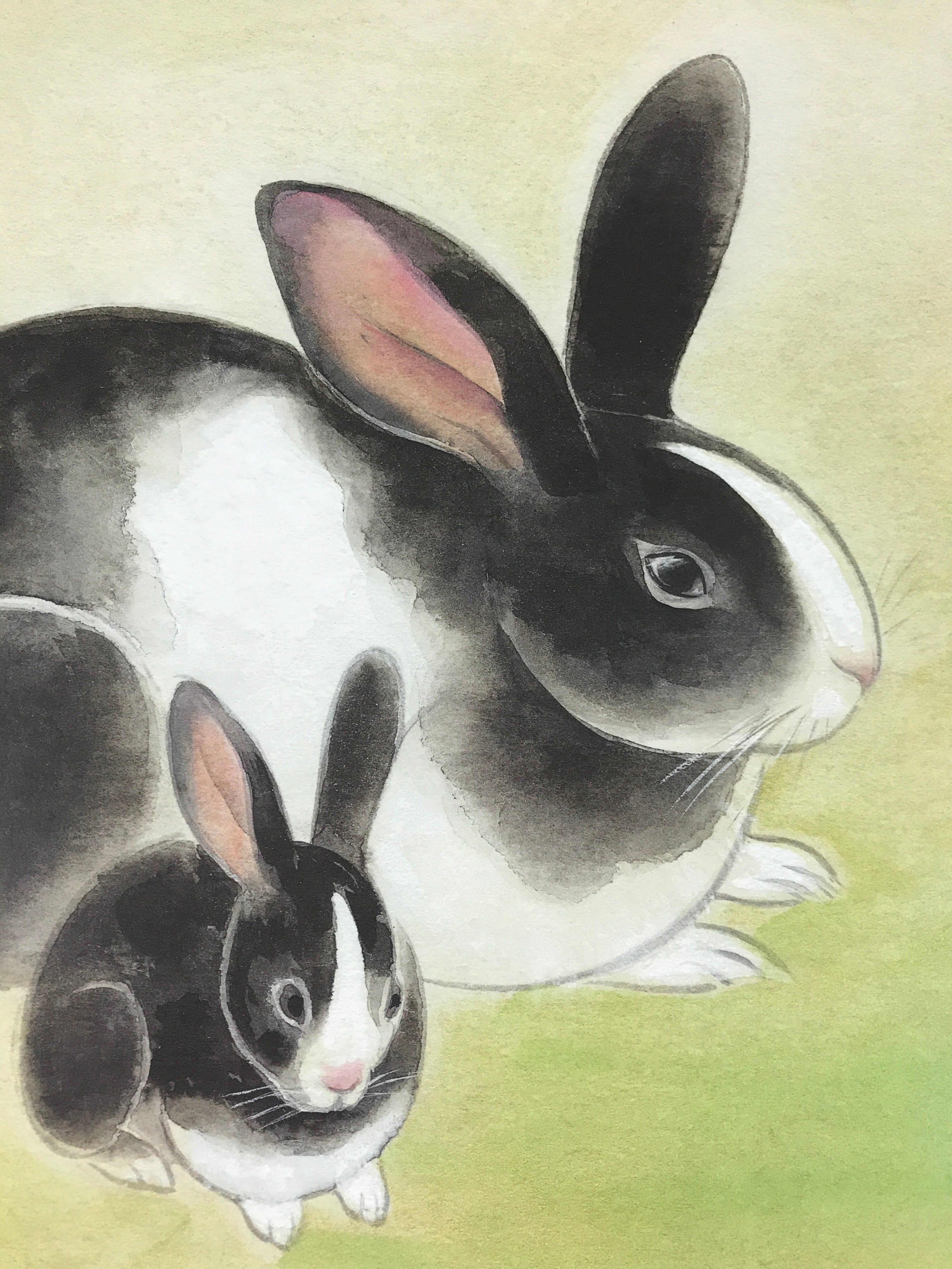 Japanese Art Board Vtg Shikishi Paper Printed Picture Rabbits A464