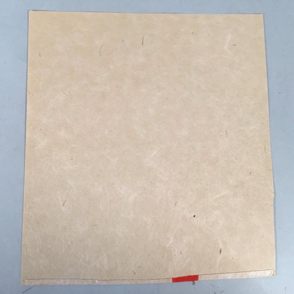 Japanese Art Paper Vtg Shikishi Red Bamboo Lucky Motif Charm Washi A303