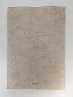 Japanese Art Print Sketching Drawing Woman Profile Dessins Vtg Pencil P281