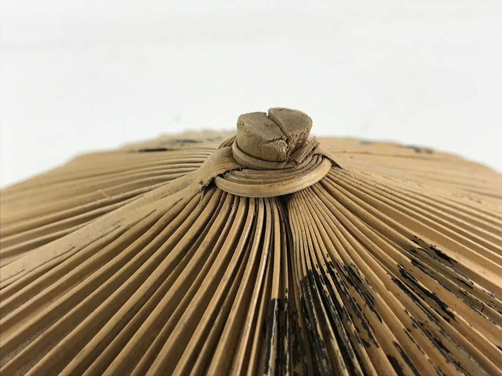Japanese Bamboo Velvet Leaf Kasa Hat Vtg Sun Protection Dance Props JK466