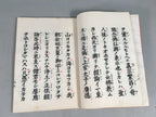 Japanese Buddhist Book Vtg Paper Biography Shinran Monk Jodo Shinshu BU267