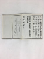 Japanese Buddhist Sutra Book Vtg Gongyo Hannyashinkyo Large Letters C1980 BU664