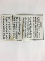 Japanese Buddhist Sutra Book Vtg Gongyo Hannyashinkyo Large Letters C1980 BU664