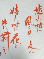 Japanese Calligraphy Painting Vtg Red Ink Kanji Buddhist Poet Poem P299