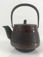 Japanese Cast Iron Teapot Tetsubin Kettle Trivet Vtg Nanbu Tekki Kyusu T102