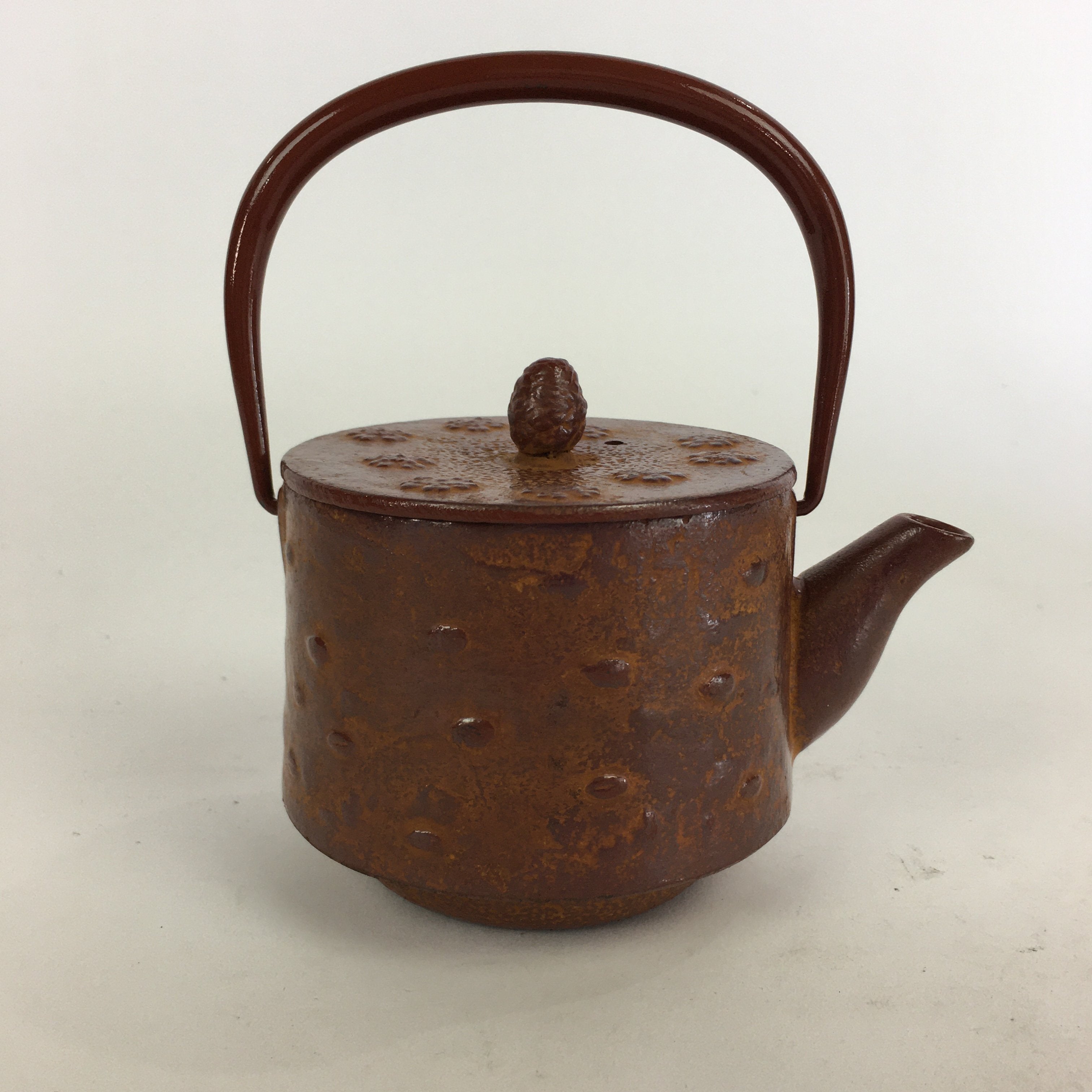 Japanese Cast Iron Teapot Vtg Kyusu Tetsubin Kettle Arare Nanbu Tekki Brown T78