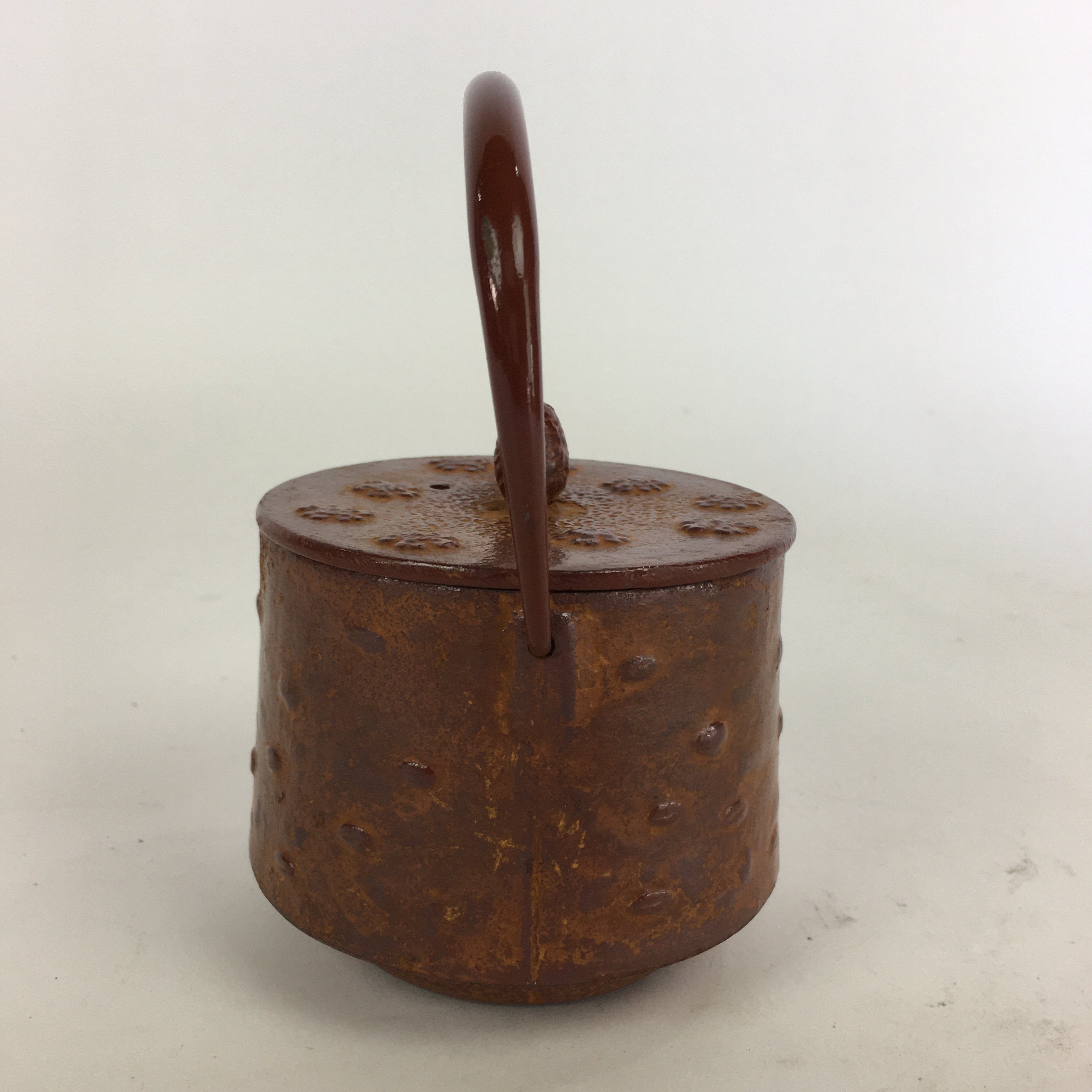 Japanese Cast Iron Teapot Vtg Kyusu Tetsubin Kettle Arare Nanbu Tekki Brown T78