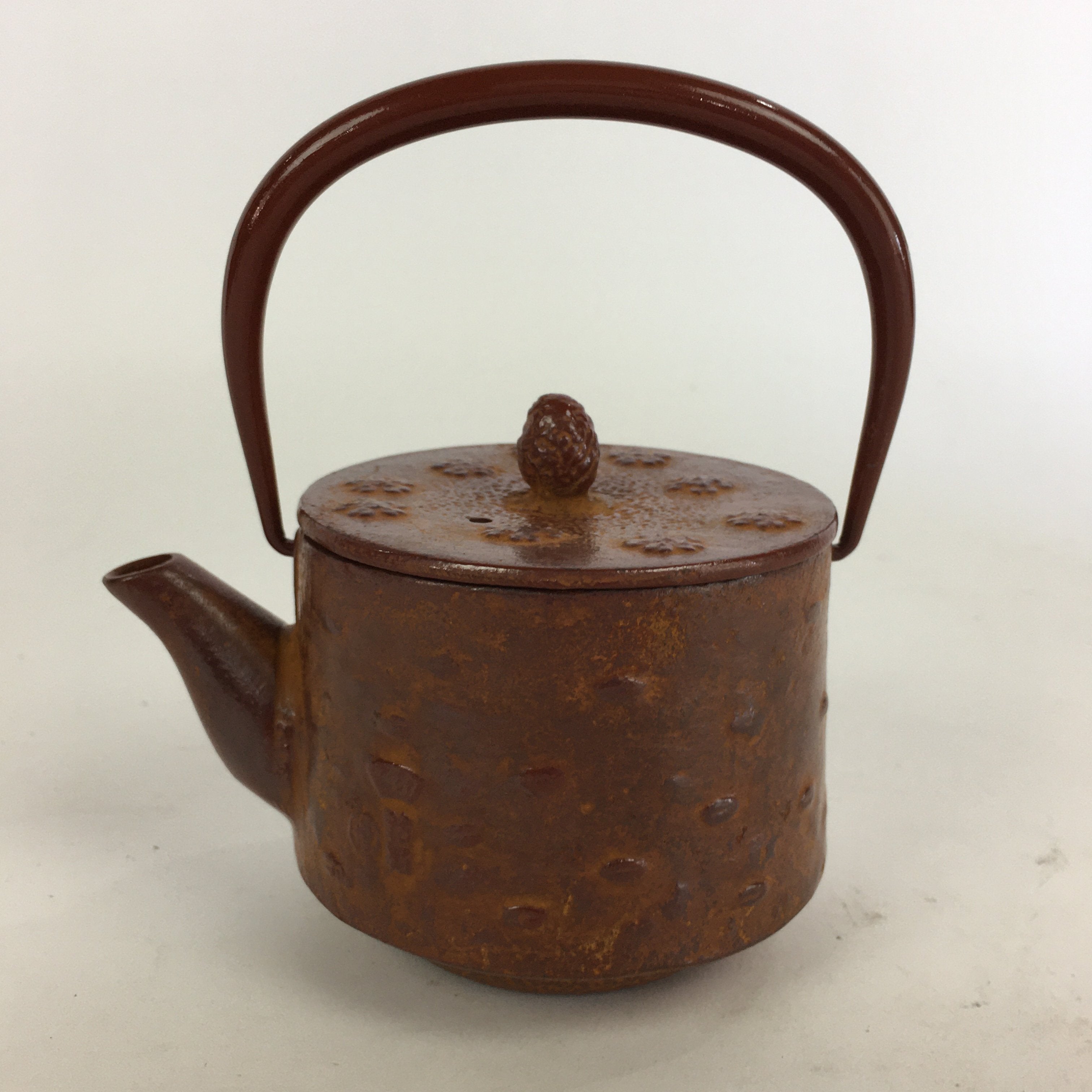 Japanese Cast Iron Teapot Vtg Kyusu Tetsubin Kettle Arare Nanbu Tekki Brown T78