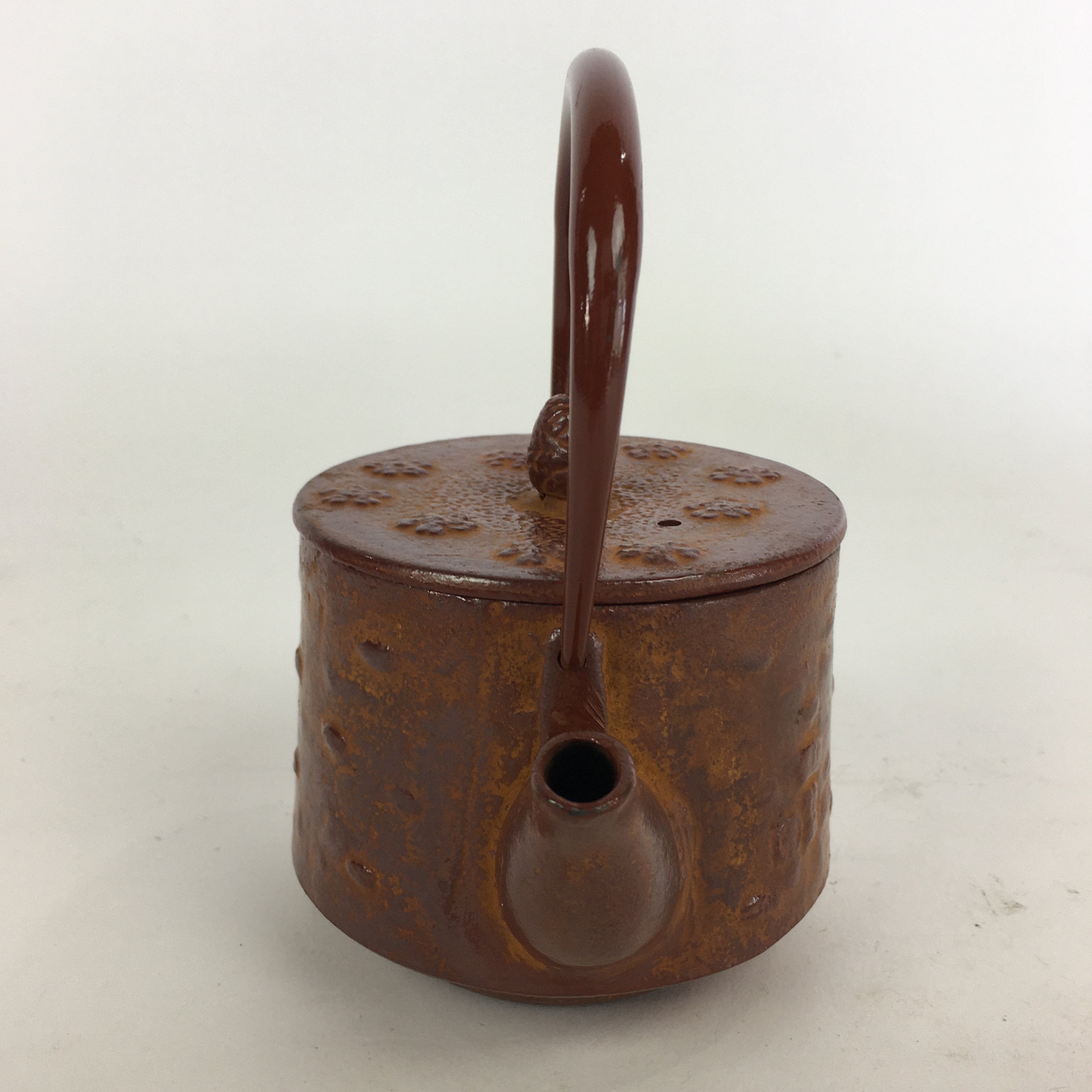 Japanese Cast Iron Teapot Vtg Kyusu Tetsubin Kettle Arare Nanbu Tekki Brown T78