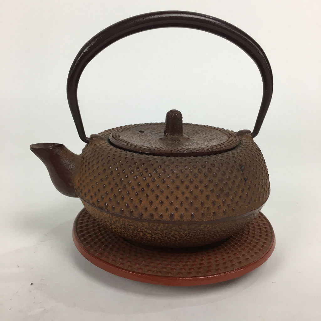 Japanese Cast Iron Teapot Vtg Kyusu Tetsubin Kettle Arare Nanbu-Tekki Brown T79