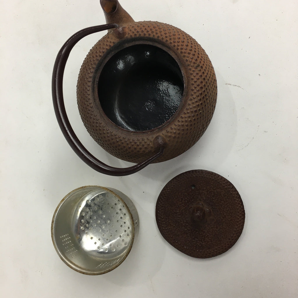 Japanese Cast Iron Teapot Vtg Kyusu Tetsubin Kettle Arare Nanbu-Tekki Brown T79