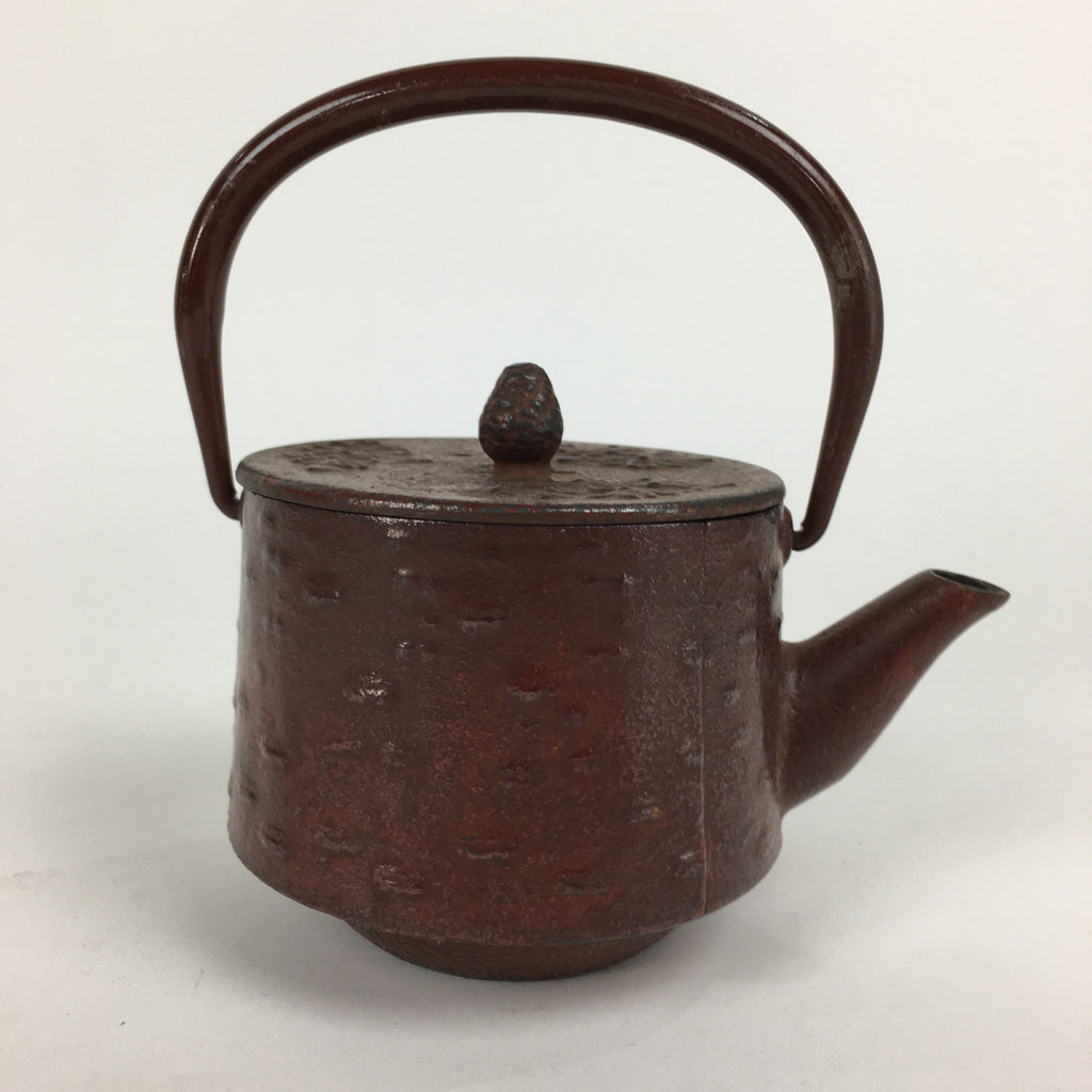 Japanese Cast Iron Teapot Vtg Kyusu Tetsubin Kettle Flower Nanbu Tekki Brown T82