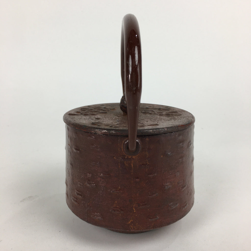 Japanese Cast Iron Teapot Vtg Kyusu Tetsubin Kettle Flower Nanbu Tekki Brown T82