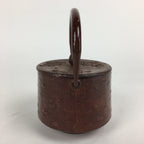 Japanese Cast Iron Teapot Vtg Kyusu Tetsubin Kettle Flower Nanbu Tekki Brown T82