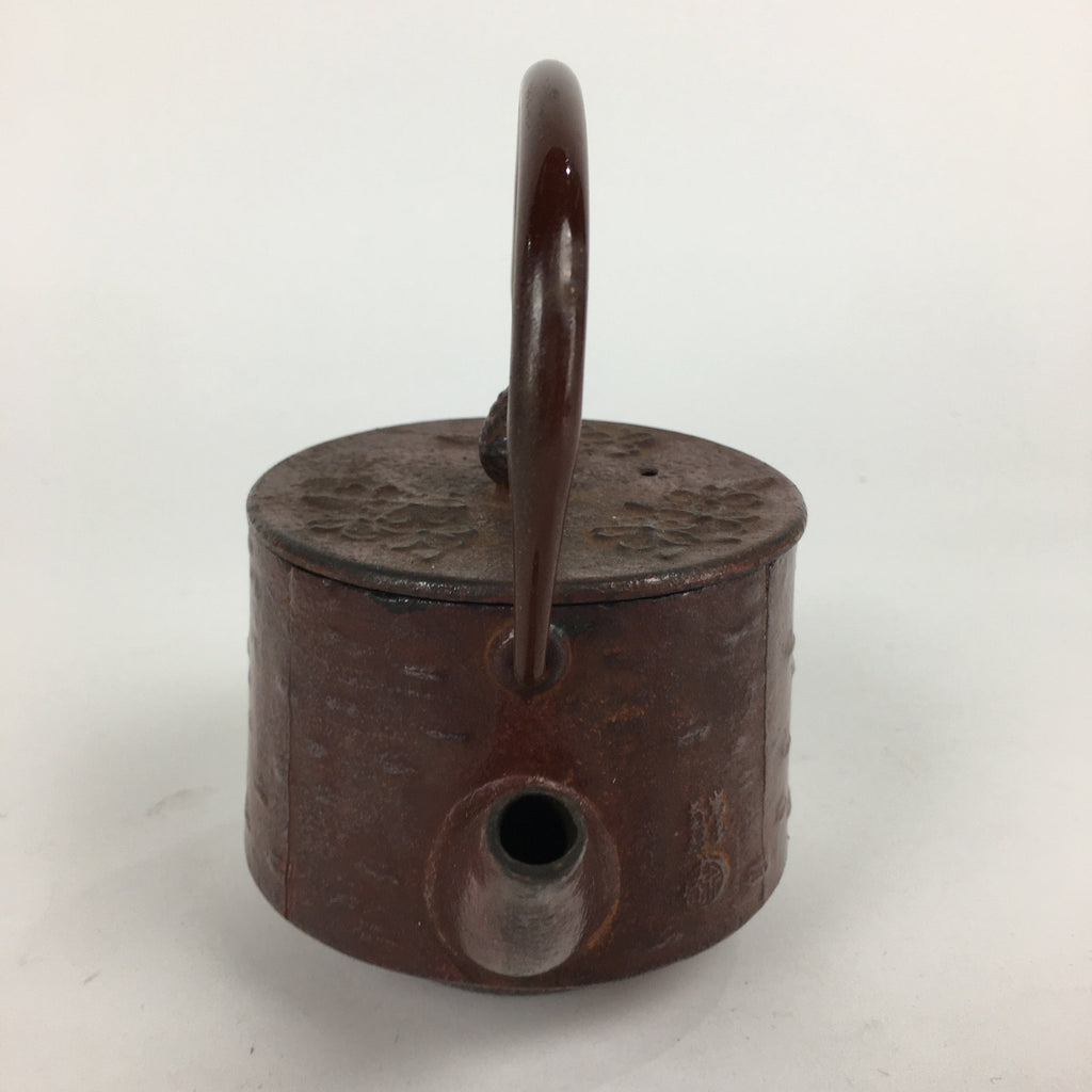Japanese Cast Iron Teapot Vtg Kyusu Tetsubin Kettle Flower Nanbu Tekki Brown T82