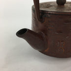 Japanese Cast Iron Teapot Vtg Kyusu Tetsubin Kettle Flower Nanbu Tekki Brown T82