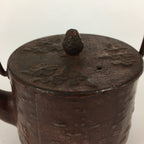 Japanese Cast Iron Teapot Vtg Kyusu Tetsubin Kettle Flower Nanbu Tekki Brown T82