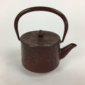 Japanese Cast Iron Teapot Vtg Kyusu Tetsubin Kettle Flower Nanbu Tekki Brown T82