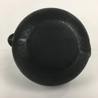 Japanese Cast Iron Teapot Vtg Kyusu Tetsubin Kettle Pine Tree Tekki Black T80