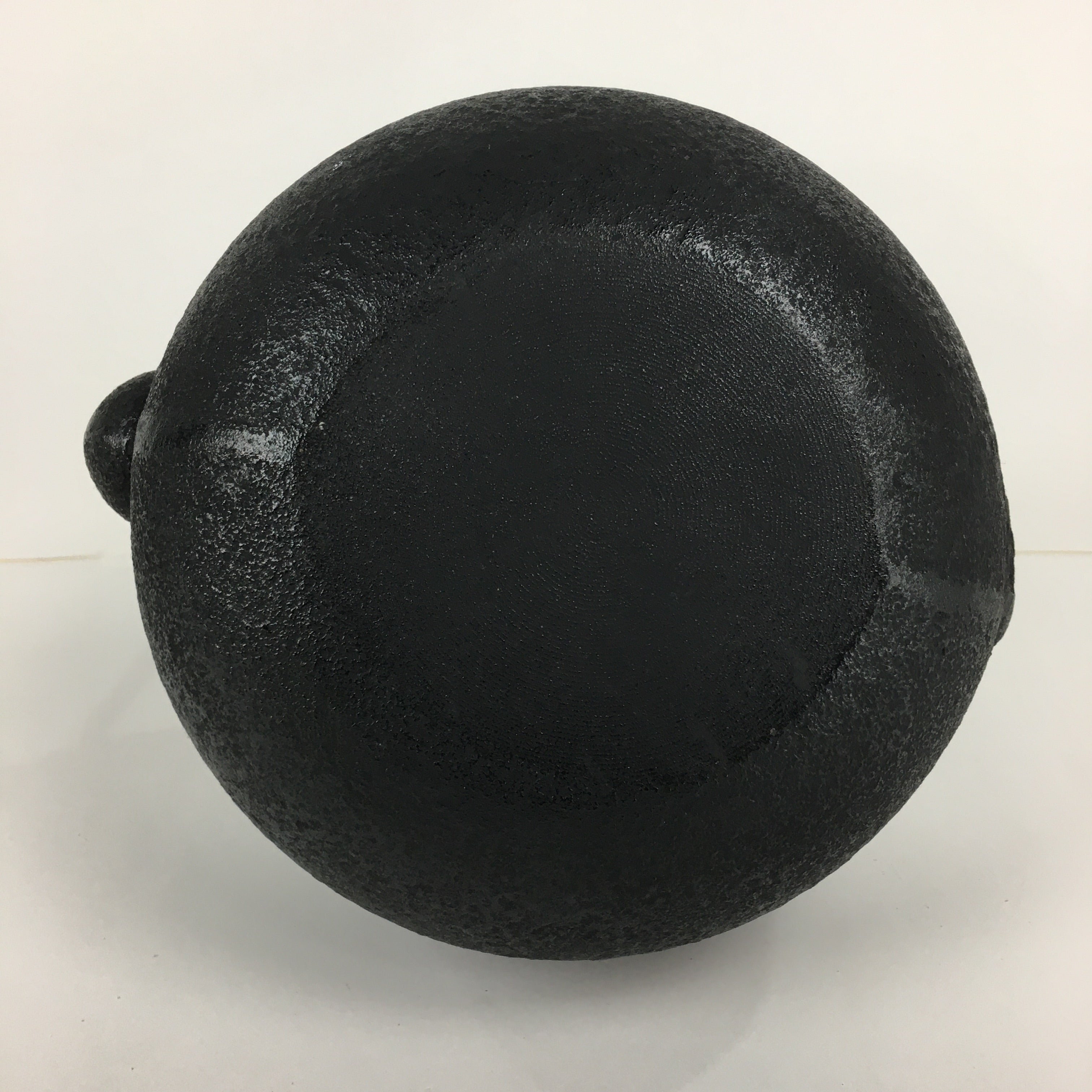 Japanese Cast Iron Teapot Vtg Kyusu Tetsubin Kettle Pine Tree Tekki Black T80