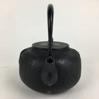 Japanese Cast Iron Teapot Vtg Kyusu Tetsubin Kettle Pine Tree Tekki Black T80
