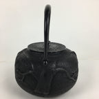 Japanese Cast Iron Teapot Vtg Kyusu Tetsubin Kettle Pine Tree Tekki Black T80