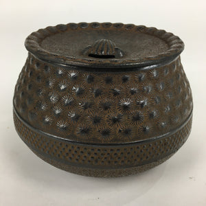 Japanese Cast Iron Wastewater Receptacle Vtg Nanbu Tekki Tea Ceremony Kensui T84