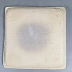 Japanese Ceramic Display Plate Vtg Square Riverside Leaf Outdoor Bath PX508