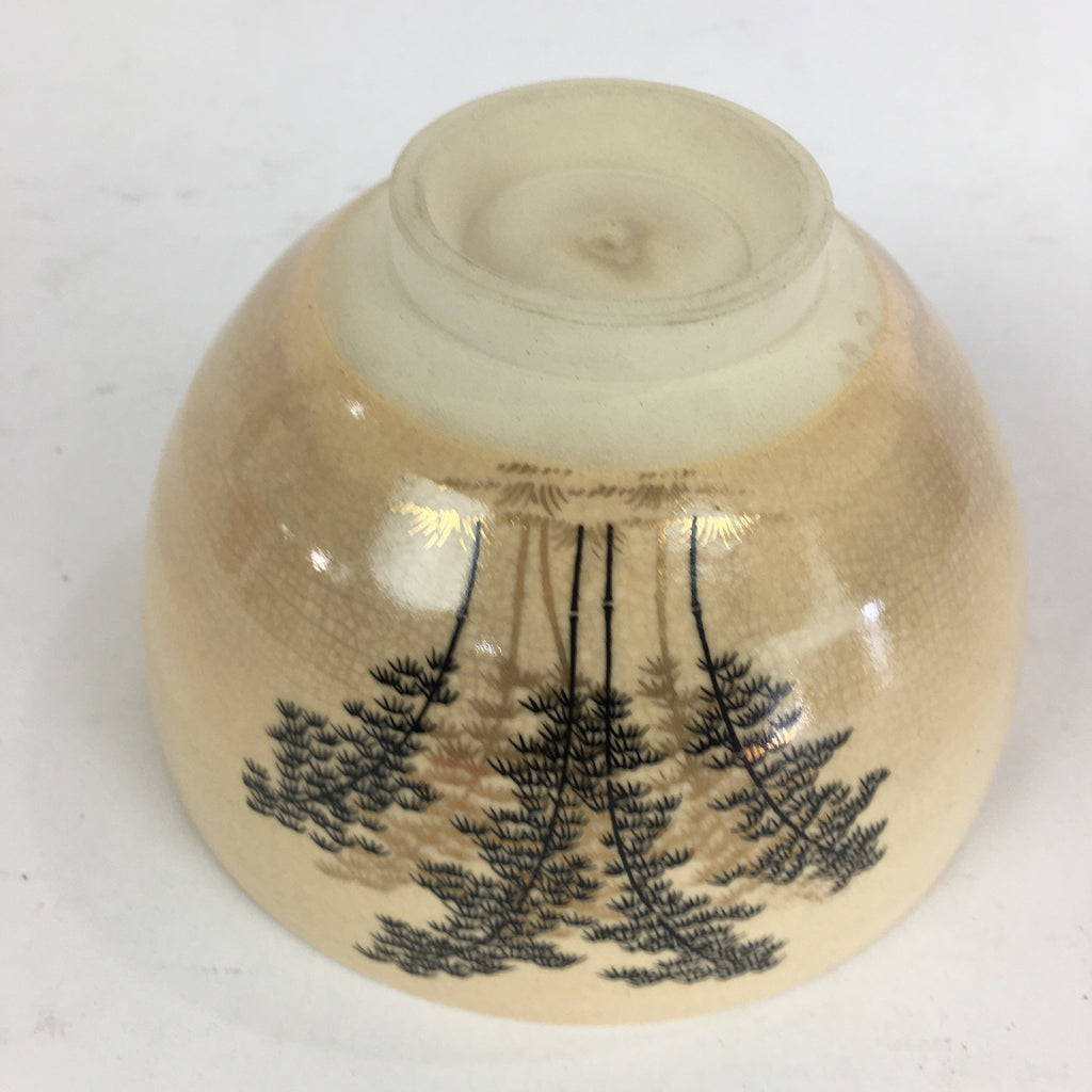 Japanese Ceramic Kyo Ware Tea Bowl Vtg Ceremony Chawan Bamboo Beige GTB765