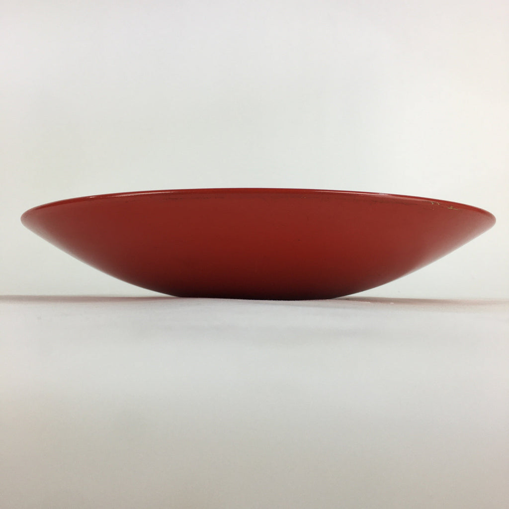 Japanese Ceramic Large Plate Vtg Pottery Party Serving Plate Ozara PP939