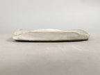 Japanese Ceramic Plate 2pc Set Vtg Pottery Peacock Small Large White Gray QT100