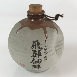 Japanese Ceramic Sake Bottle Vtg Pottery Round Shape Hida White TS464