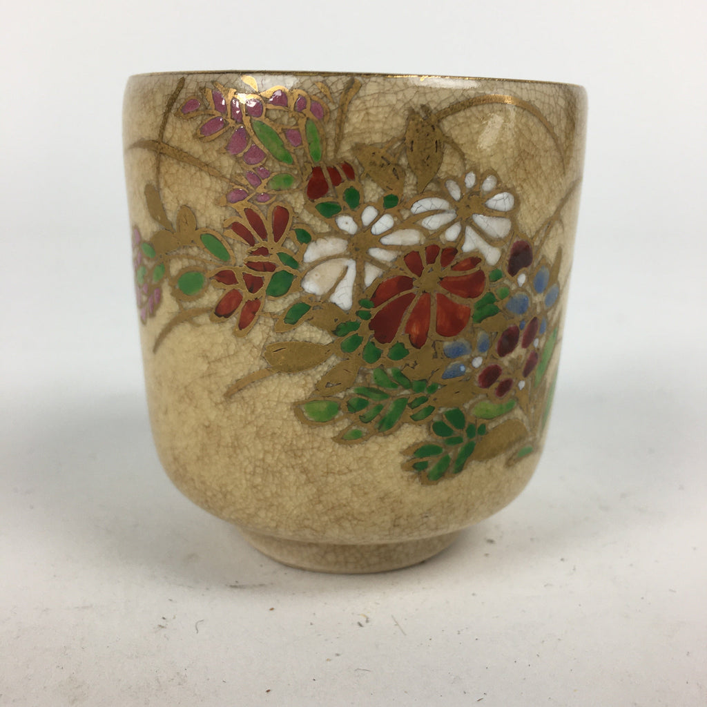 Japanese Ceramic Satsuma Ware Teacup Yunomi Vtg Hand Drawn Sencha TC292