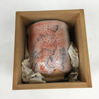 Japanese Ceramic Shino Ware Teacup Vtg Pottery Yunomi White Orange Box PX568