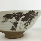 Japanese Ceramic Tea Ceremony Green Tea Bowl Vtg Chawan White GTB929