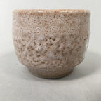 Japanese Ceramic Teacup Shino Yunomi Vtg Pottery Plum Blossom Sencha TC161