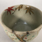 Japanese Ceramic Teacup Vtg Pottery Cherry Bloossom Autumn Leaf Sencha TC178