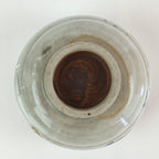 Japanese Ceramic Teacup Yunomi Vtg Vine Plant Leaves Sencha TC301