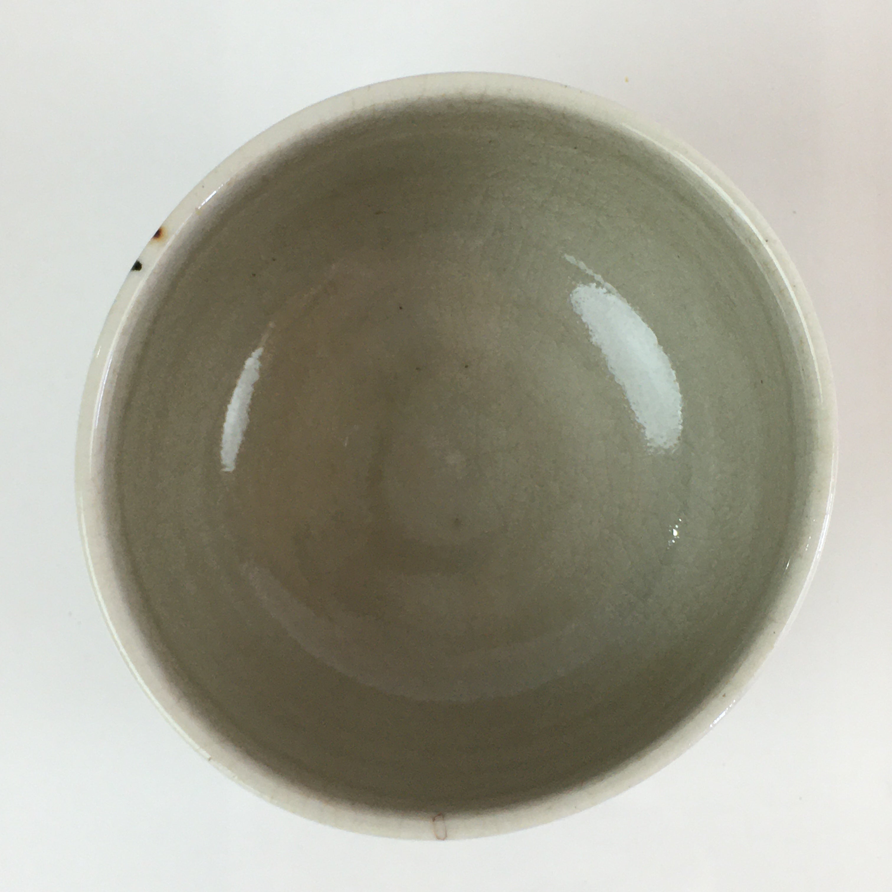 Japanese Ceramic Teacup Yunomi Vtg Vine Plant Leaves Sencha TC302