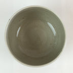 Japanese Ceramic Teacup Yunomi Vtg Vine Plant Leaves Sencha TC303