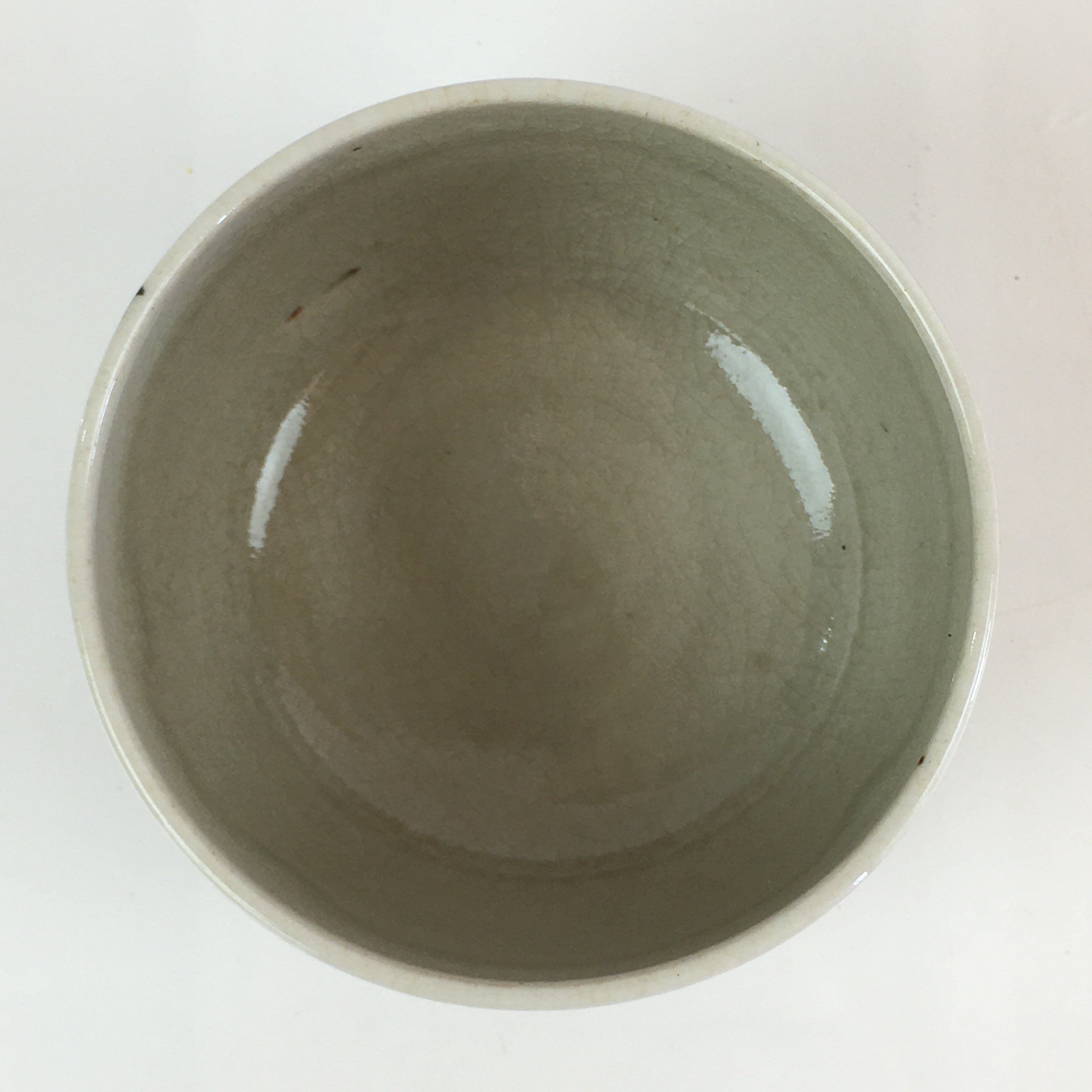 Japanese Ceramic Teacup Yunomi Vtg Vine Plant Leaves Sencha TC303