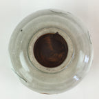 Japanese Ceramic Teacup Yunomi Vtg Vine Plant Leaves Sencha TC303