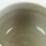 Japanese Ceramic Teacup Yunomi Vtg Vine Plant Leaves Sencha TC305
