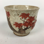 Japanese Ceramic Teacup Yunomi Vtg White Japanese Maple Sencha TC284