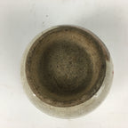 Japanese Ceramic Teacup Yunomi Vtg White Japanese Maple Sencha TC285