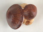 Japanese Clay Bell Dorei Tsuchi-Suzu Mushroom Vegetable Ceramic Doll Amulet DR47