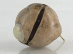 Japanese Clay Bell Dorei Tsuchi-Suzu Vtg Raccoon Tanuki Sake Ceramic Amulet DR45